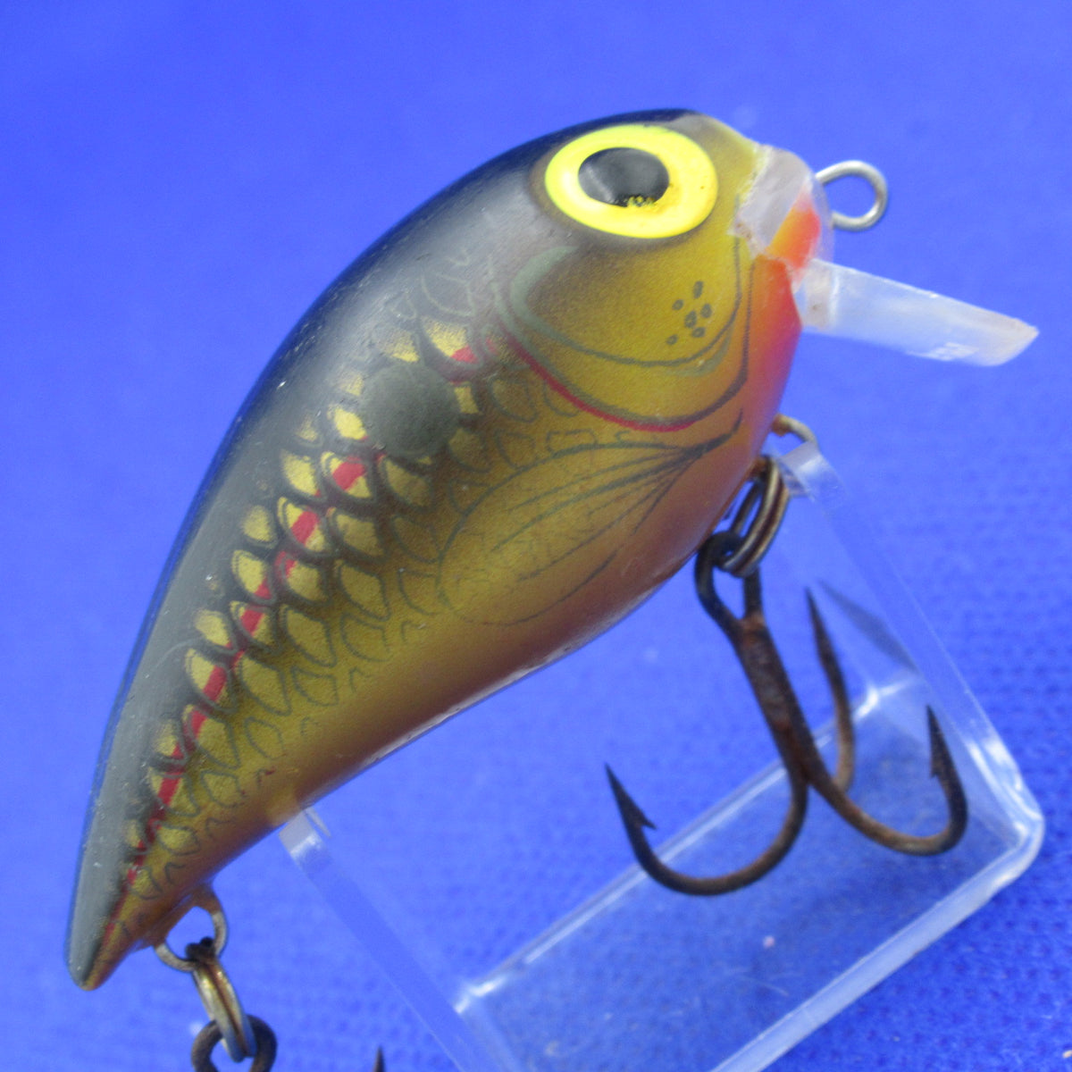 Storm Sub Wart 04 Fishing Crankbait | Shad Color, 1ft Diving Depth, Rattling Action