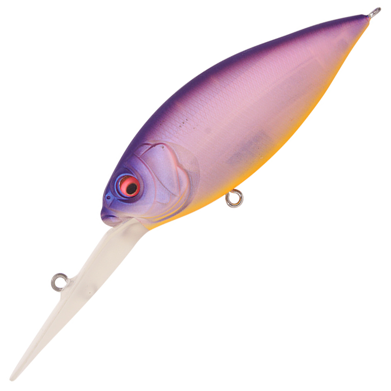 DEEP-X 300 [Brand New]