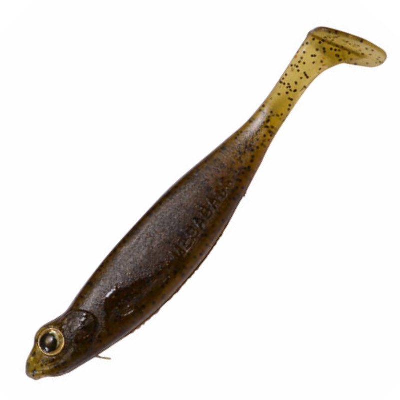 HAZEDONG SHAD 3
