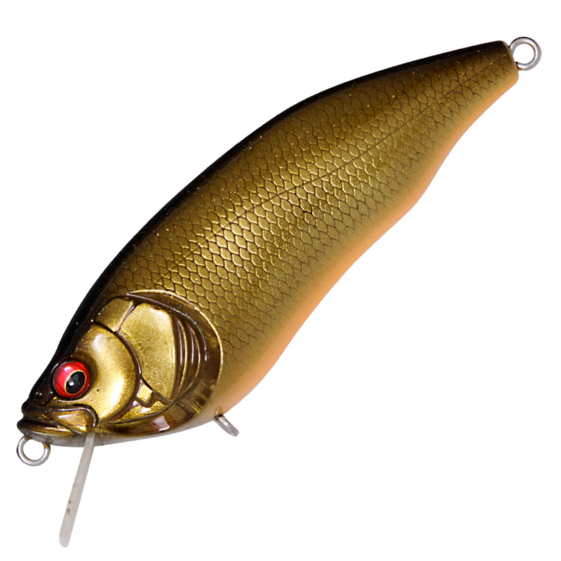 MEGABASS I X I Furious 1.5 Flottant Leurre BBC (2437) EUR 24,48 MEGABASS I X I Furious 1.5 Flottant Leurre BBC (2437) EUR 24,48