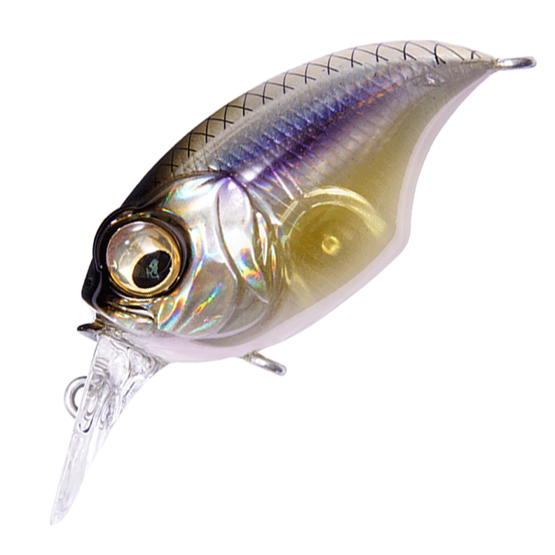 MARUJIN UK BAIT - 【Bass Trout Salt lure fishing web order  shop】BackLash｜Japanese fishing tackle｜