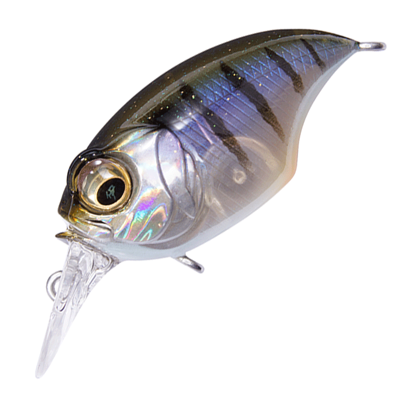 What are they - LURELOVERS Australian Fishing Lure Community