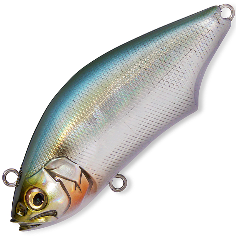 HADARA TRAP 70 [Brand New]