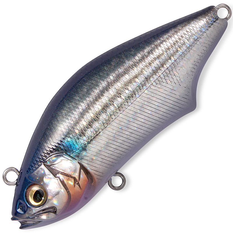 HADARA TRAP 70 [Brand New]