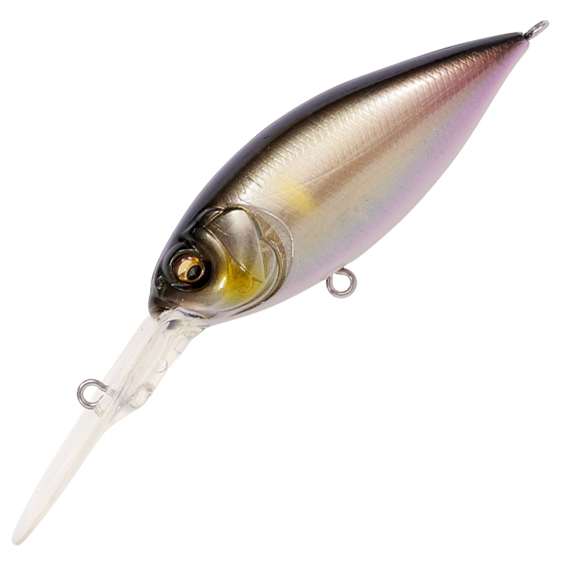 DEEP-X 300 [Brand New]