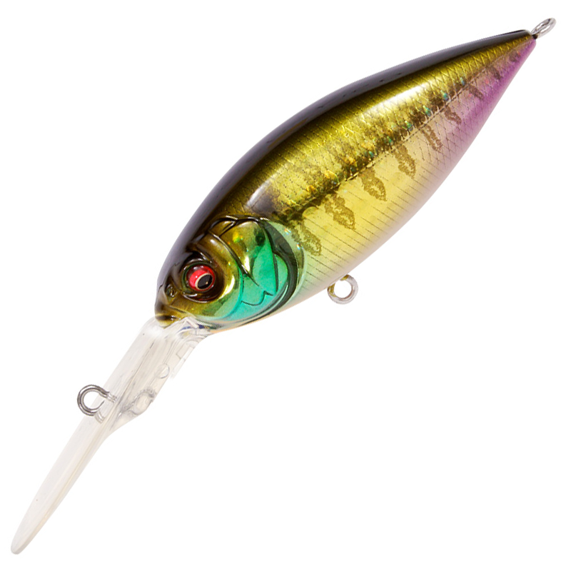 DEEP-X 300 [Brand New]