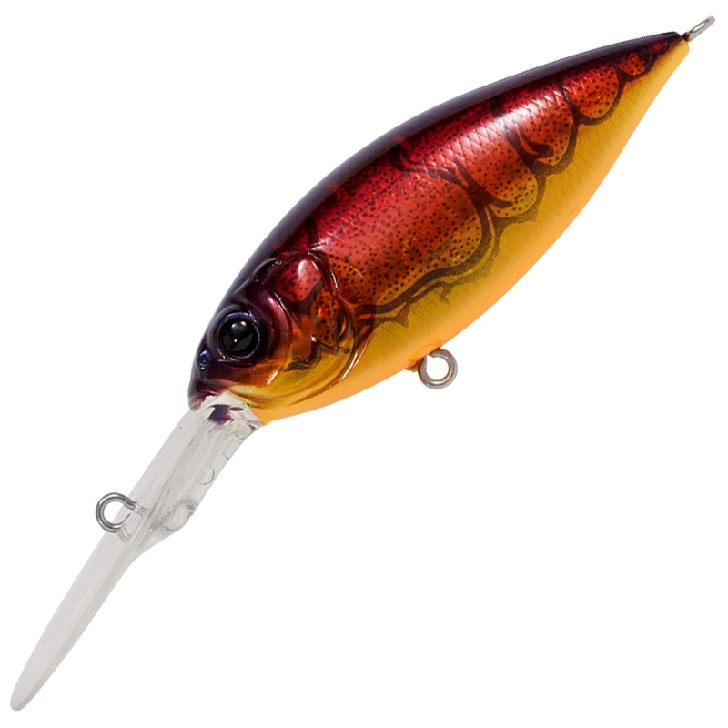 DEEP-X 300 [Brand New]