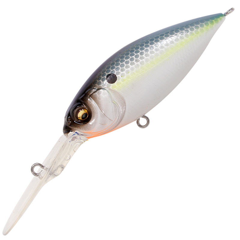 DEEP-X 300 [Brand New]