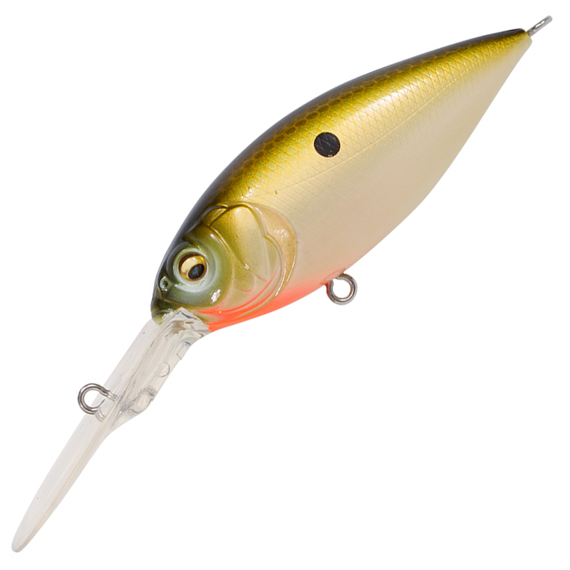 DEEP-X 300 [Brand New]