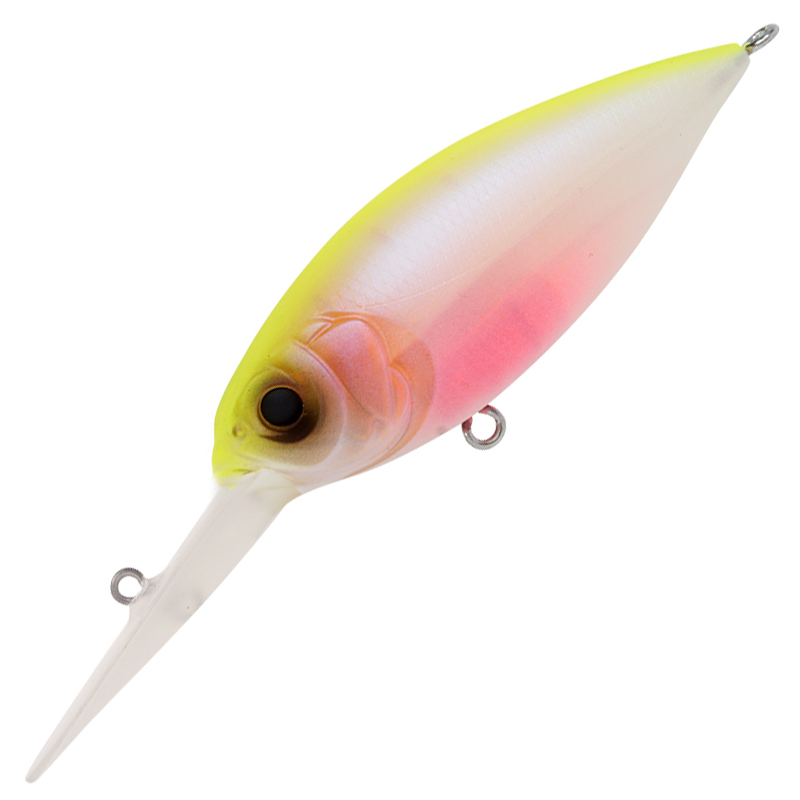 DEEP-X 300 [Brand New]