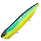 DOGMAX SLIDING MODEL [Brand New]