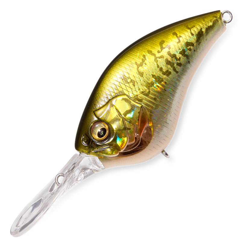 iPX-16 [Brand New]