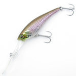 SOUL SHAD 62DDR [Brand New]