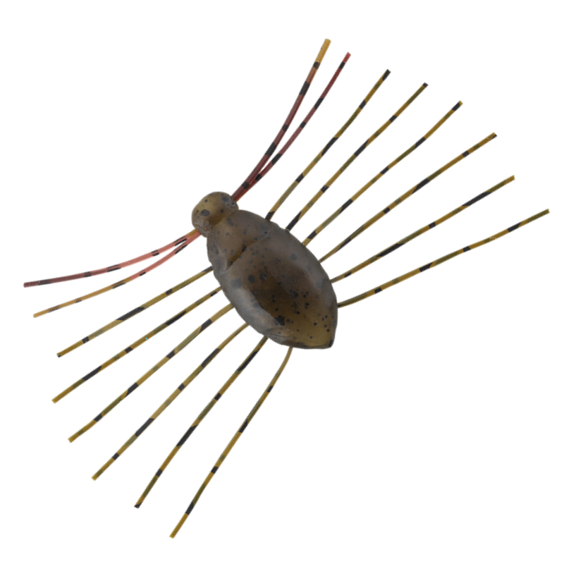 NEED BUG [Brand New]