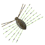 NEED BUG [Brand New]