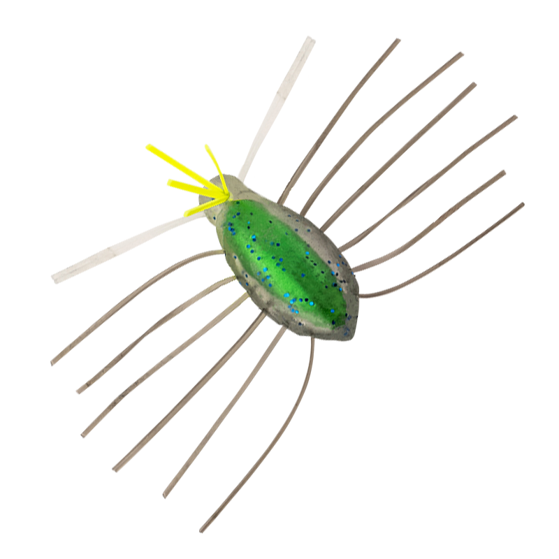 NEED BUG [Brand New]