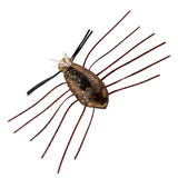 NEED BUG [Brand New]