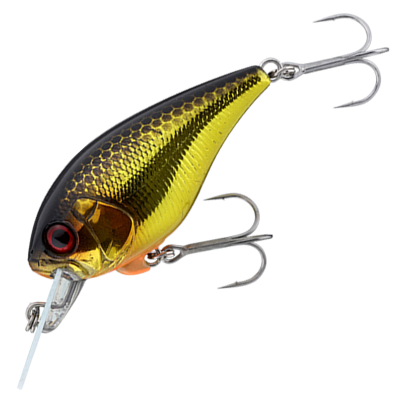 MASTER CRANK 47SR [Brand New]