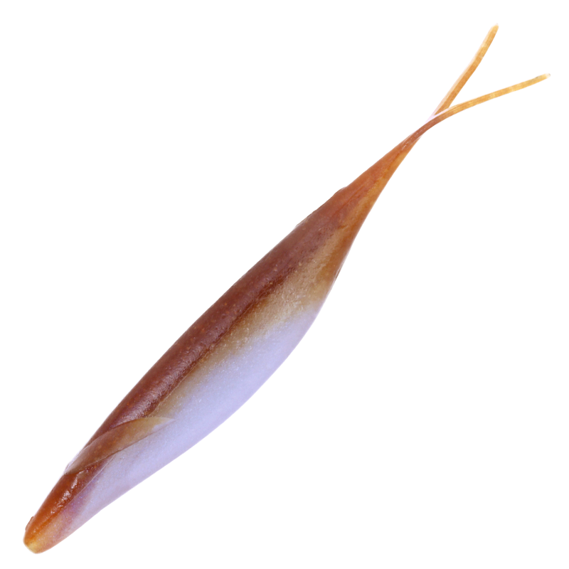 SAKAMATA SHAD 4.5