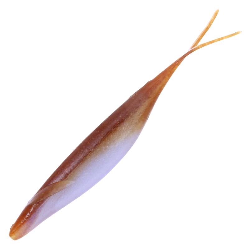 SAKAMATA SHAD 4