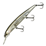 DARDO 100SP [Brand New]