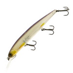 DARDO 100SP [Brand New]