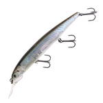 DARDO 100SP [Brand New]