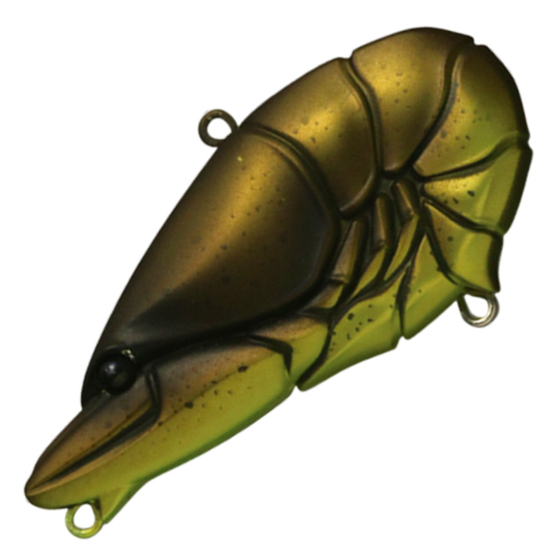 G.C. ZARI VIB Jr. 57 [Brand New]