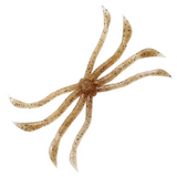 OCTOPUS [Brand New]