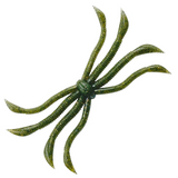 OCTOPUS [Brand New]