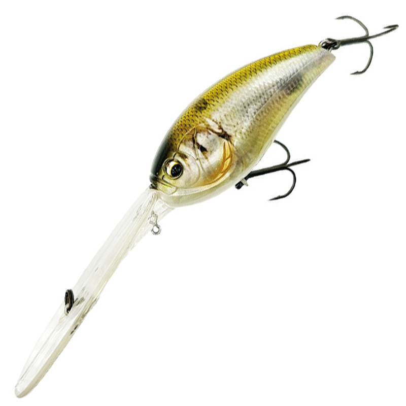 IK-800 R2 [Brand New]