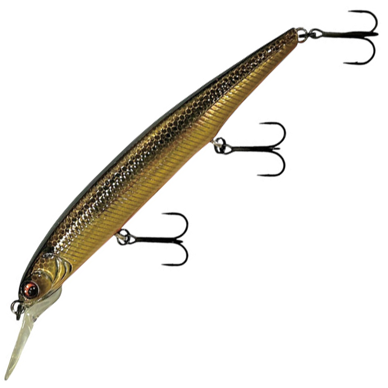 DARDO 100SP [Brand New]