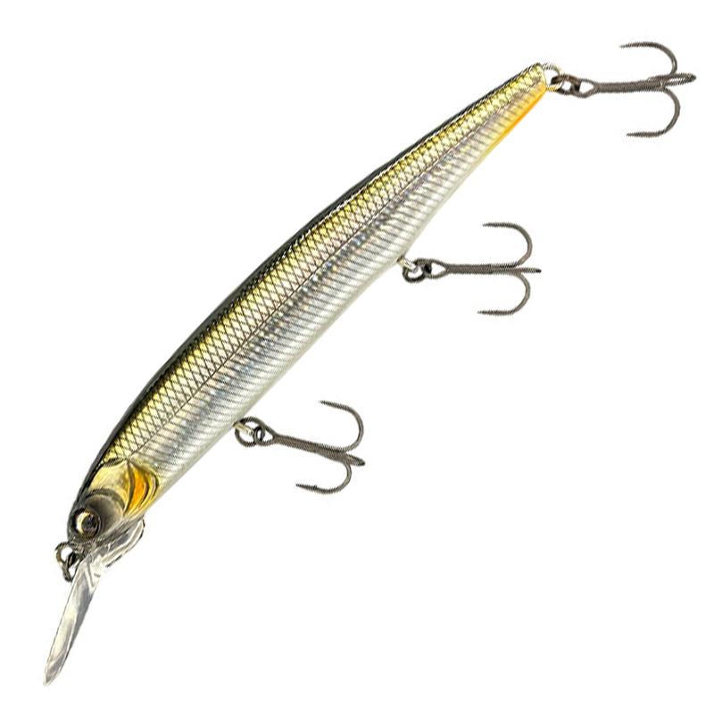 DARDO 100SP [Brand New]