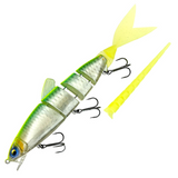 JAVALLON HARD MAMBA 150F [Brand New]