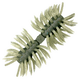 HAIRY SPIDER KUJALA 160 [Brand New]