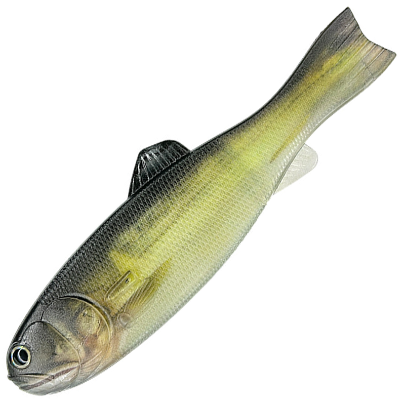 BASSWORM 145 [Brand New]