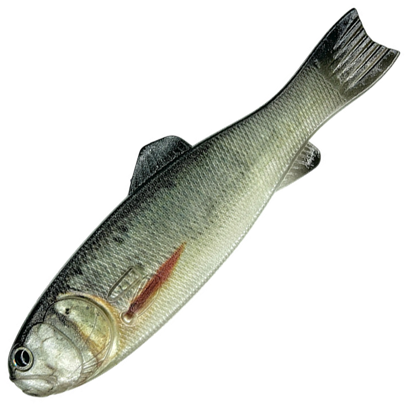 BASSWORM 145 [Brand New]