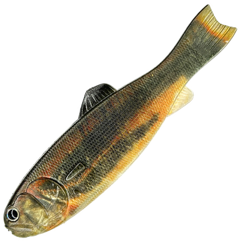 BASSWORM 145 [Brand New]