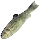 BASSWORM 145 [Brand New]