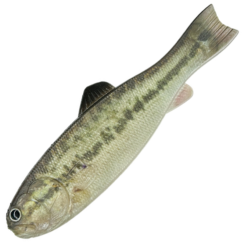 BASSWORM 145 [Brand New]