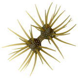 DUMBBELL CRAB ELASTOMER [Brand New]