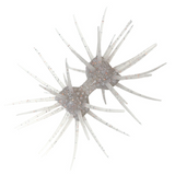 DUMBBELL CRAB ELASTOMER [Brand New]