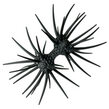 DUMBBELL CRAB ELASTOMER [Brand New]