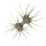 DUMBBELL CRAB ELASTOMER [Brand New]