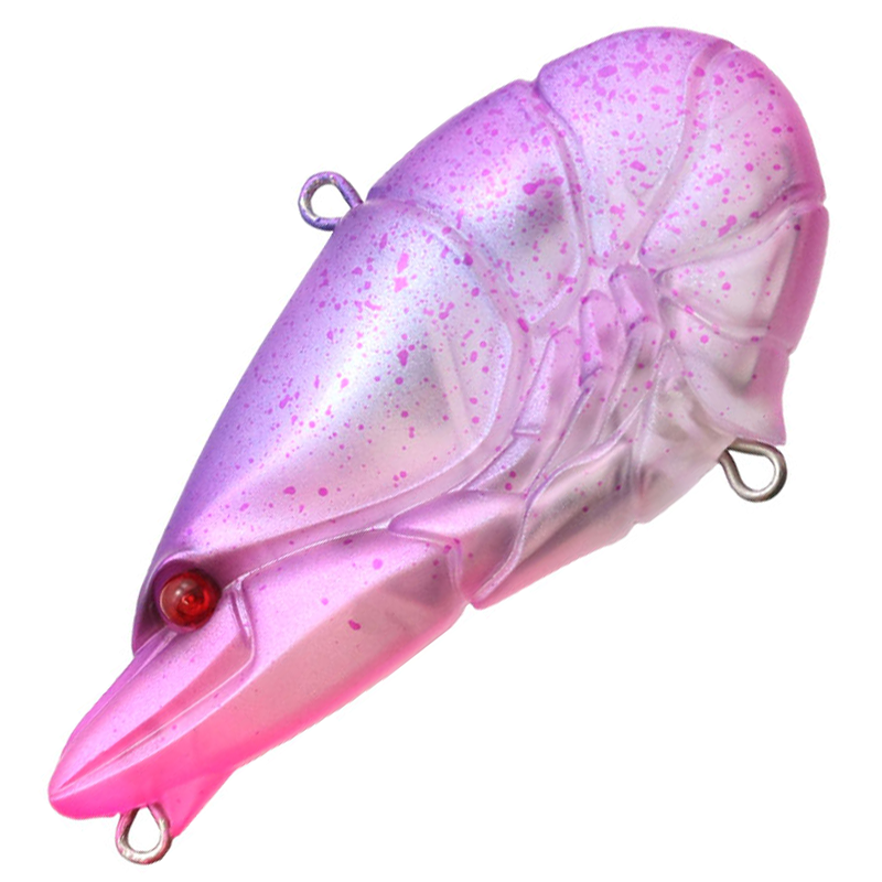 G.C. ZARI VIB Jr. 57 [Brand New]