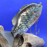 GillROID (Flat Tail) [Used]