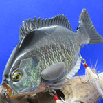 BREAM SLIDE [Used]