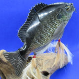 BREAM SLIDE [Used]