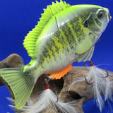 BREAM SLIDE [Used]