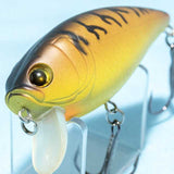 FAT PEPPER SHALLOW [Used]